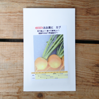 カブ おお黄に (100粒入) 小林種苗 の商品画像