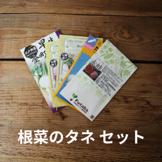  Re:seedʥꥷɡ  ڤΥ åȡ5ϡôڤ쥿̵̤ͤˤʤѥåξʲ