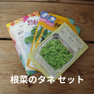  Re:seedʥꥷɡ  ʪΥ åȡ5ϡôڤ쥿̵̤ͤˤʤѥåξʲ