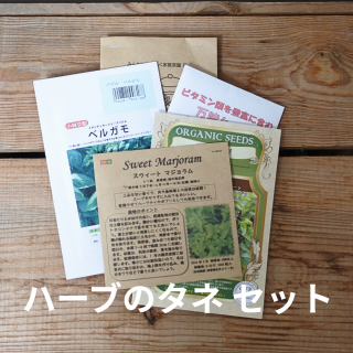  Re:seedʥꥷɡ  ϡ֤Υ åȡ5ϡôڤ쥿̵̤ͤˤʤѥåξʲ