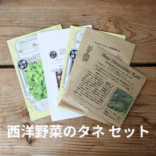  Re:seedʥꥷɡ  ڤΥ åȡ5ϡôڤ쥿̵̤ͤˤʤѥåξʲ