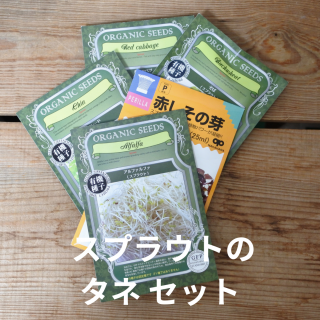  Re:seedʥꥷɡ  ץ饦ȤΥ åȡ5ϡôڤ쥿̵̤ͤˤʤѥåξʲ