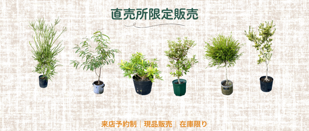 瀬戸海外輸出里帰り花台 瀬戸海外輸出里帰り花台 瀬戸海外輸出里帰り花台