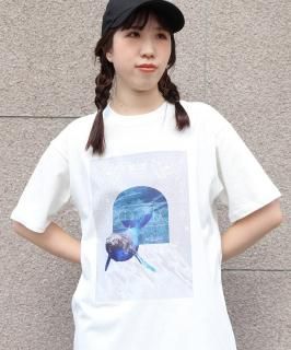 UNIT CHESTWhale T/980-21925