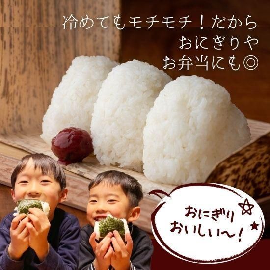 令和6年産】【精米】新潟県産 こしひかり 5kg【おいしいお