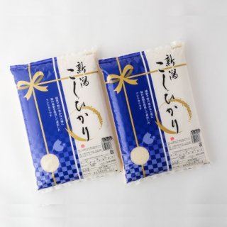 【通常便】新潟県産コシヒカリ「越後の里」5Kg × 2袋