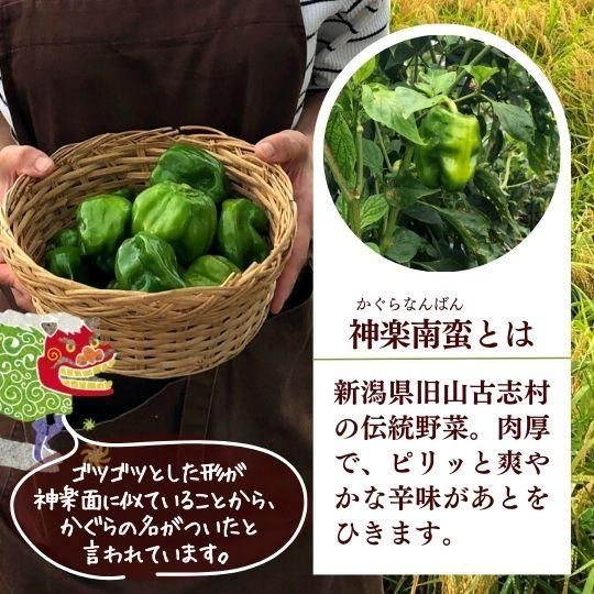 常温・ネコポス】かぐらなんばん味噌 130g