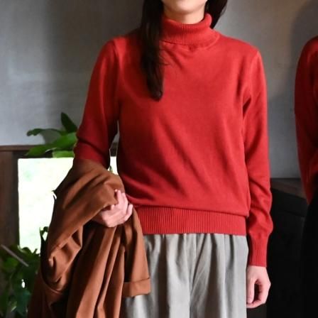 <img class='new_mark_img1' src='https://img.shop-pro.jp/img/new/icons3.gif' style='border:none;display:inline;margin:0px;padding:0px;width:auto;' />OCN リブタートルネックTop