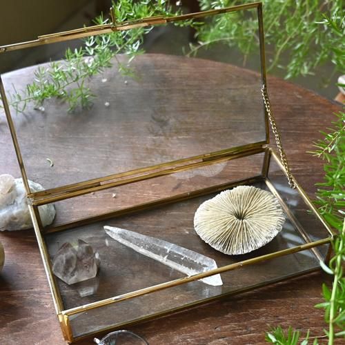 NA ガラスショーケース - 【シサム工房 公式OnlineStore】FAIR NA ガラスショーケース - 【シサム工房 公式OnlineStore】FAIR