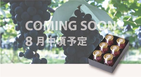 葡萄のジュレ6本入