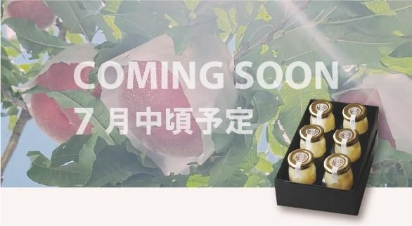 桃ジュレ6本入