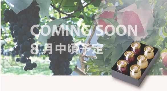葡萄と桃のジュレ6本入