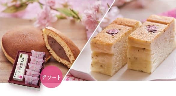 白州だより -春-