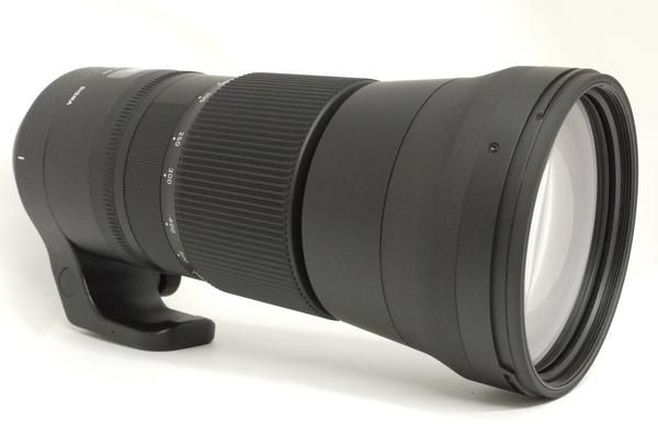シグマ 150-600mm F5-6.3 DG OS HSM Contemporary (ニコンF シグマ 150-600mm F5-6.3 DG OS HSM Contemporary (ニコンF