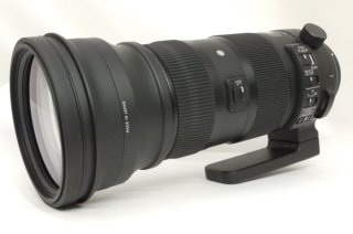 シグマ 150-600mm F5-6.3 DG OS Sports (キャノンEFマウント) フード、フィルター、ケース付 美品