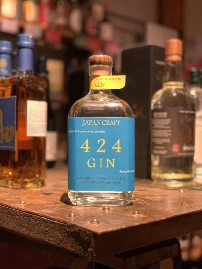 424GIN