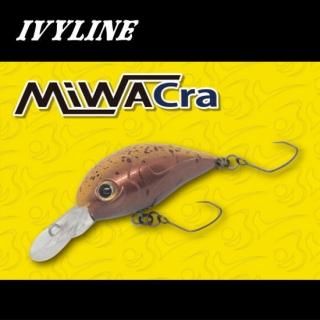 アイビーライン IVYLINE - PROSHOP River Road