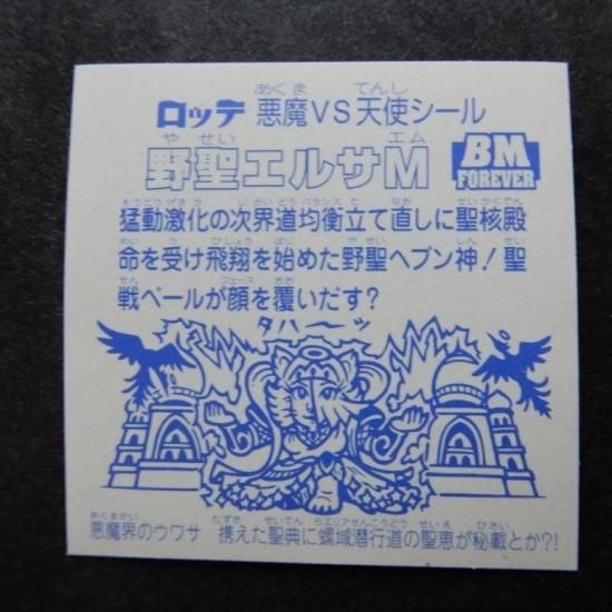野聖エルサM・通常（ライングローブ・ノーマルロゴ） 【S