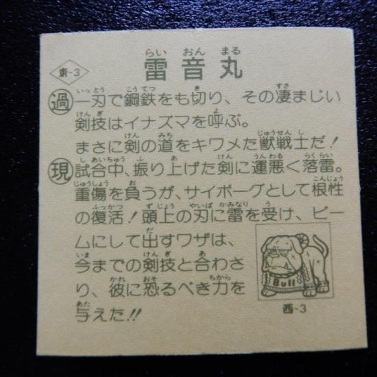 タイムスリップバトル【雷音丸 他 ×13枚セット】 雷音丸（タイム1） 【