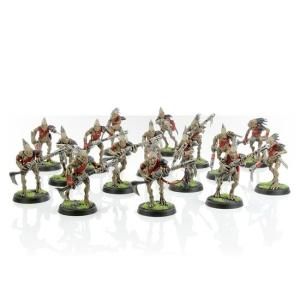 ڥϥޡ 40000ۥѥ  Kroot Carnivore Squad  T'AU EMPIRE: Kroot Carnivore Squad[饤]