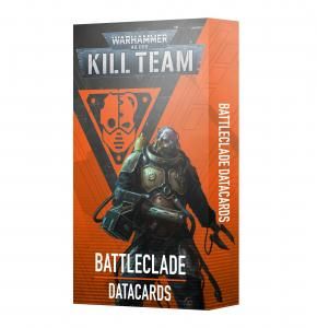 WARMACHINE 塗装済み　ボードゲーム　希少品　ウォーハンマー ジョイトイ 暗源 ウォーハンマー40K 極限戦士ソードガード老兵