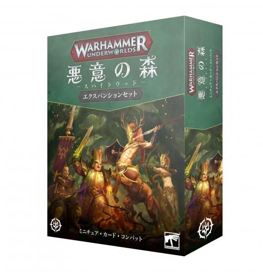 ウォーハンマー Warhammer AOS 風見髑髏の館 ウォーハンマー Warhammer AOS 風見髑髏の館 ウォーハンマー
