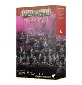 ウォーハンマー AGE OF SIGMAR】ディサイプル・オヴ・ティーンチ