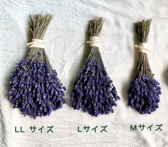 北海道富良野産濃紫ラベンダーmサイズスワッグ花束ドライフラワーブーケ Izuru 北海道ガーデンからの贈り物