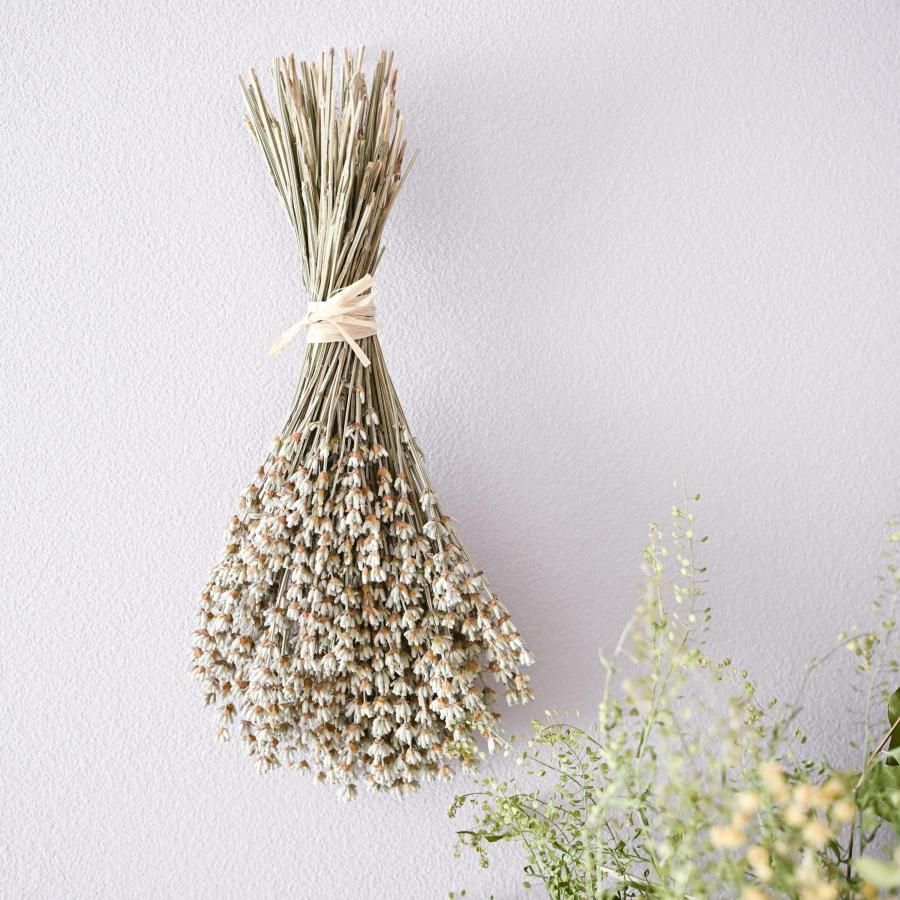 北海道富良野産 ホワイトラベンダースワッグ。ドライフラワースワッグ