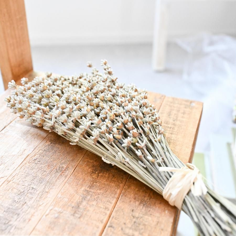 ドライフラワースワッグ  北海道の春　ホワイトグリーン　北海道ラベンダー 北海道富良野産 ホワイトラベンダースワッグ。ドライフラワー