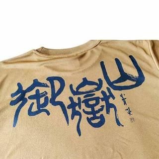 ֻ DRY tee 衼 ®T S-XL  ǥ ݥꥨƥ100 