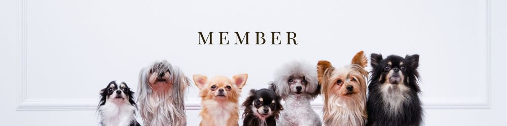 dogstore members