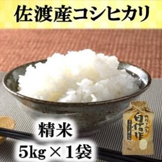 <img class='new_mark_img1' src='https://img.shop-pro.jp/img/new/icons1.gif' style='border:none;display:inline;margin:0px;padding:0px;width:auto;' />£ǯϻҥꡡ5kg