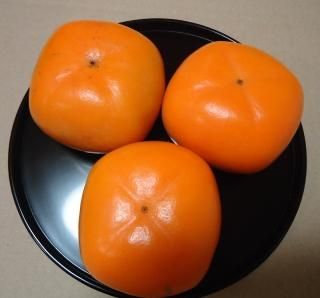 6ǯۤ B 15kg11ȯͽ