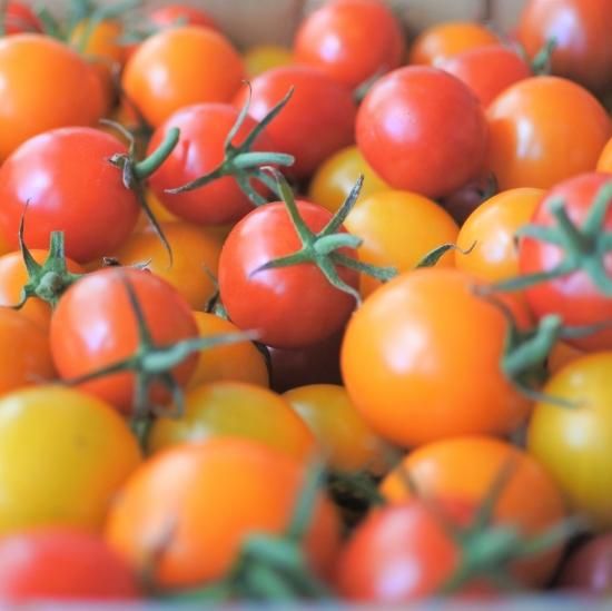 高級手芸 スキルスクリーン 完成品 ミニトマト柄 高級手芸 スキルスクリーン 完成品 ミニトマト柄 高級手芸