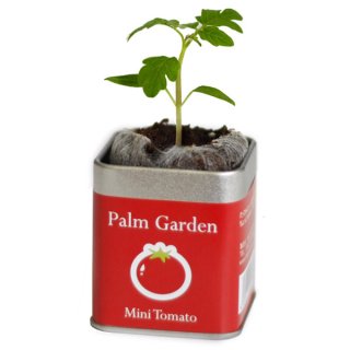 小さな栽培セット　ミニトマト　パームガーデン