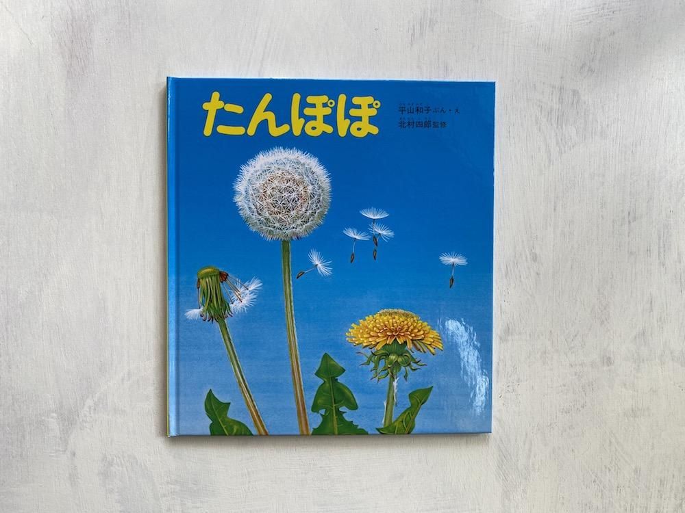 たんぽぽ えほんやさんshop たんぽぽ えほんやさんshop