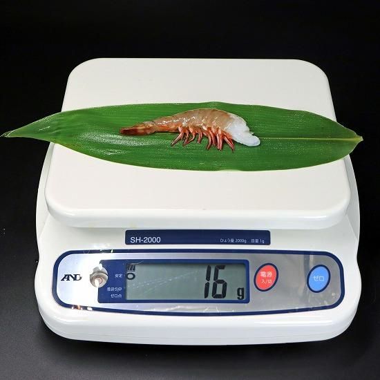 えび 冷凍 天然ホワイト 海老 大サイズ 約84〜100本入り 21/25サイズ