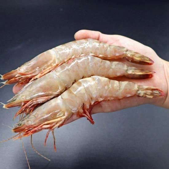 天然有頭えび フラワー 45尾サイズ (277) - シーフード卸専門 コーラル