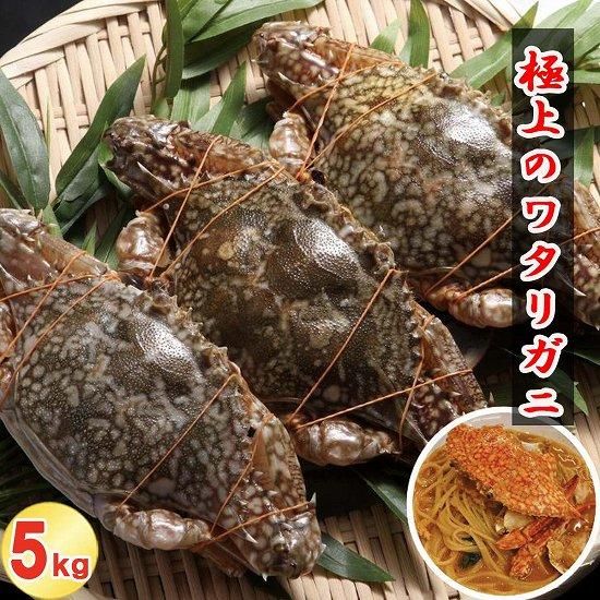 󥫻˾Υ勵ꥬˡ200-300g᥹20/5kg  (1631) 