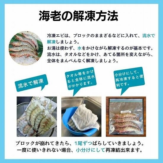 天然有頭えび フラワー 50尾サイズ 1.5kg (288) - シーフード卸 天然有頭えび フラワー 50尾サイズ 1.5kg (288) - シーフード卸