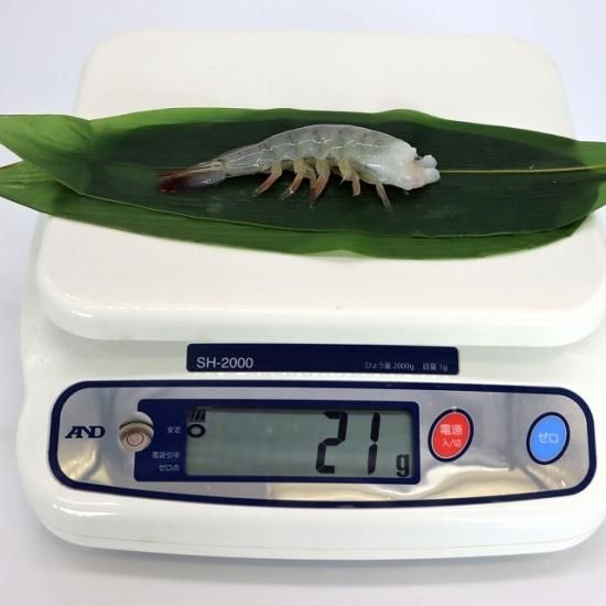 【残1点のみ】海と時が磨いた、奇跡の一粒 f5f7fae6-0b49-476d-a987-