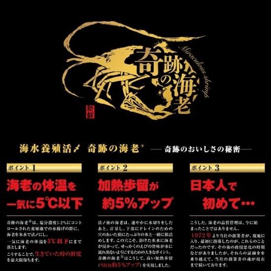 奇跡の海老” 海水養殖活〆海老 無頭 26/30 1kg IQ Fイージー