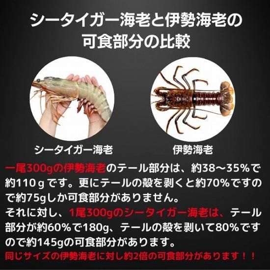 天然】超超特大！約30センチ！有頭シータイガー8尾 (3) - シーフード卸