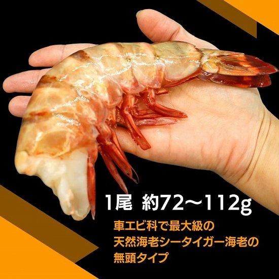 天然シータイガー 4尾 (1尾 180〜230g) 皇帝の海老 天然