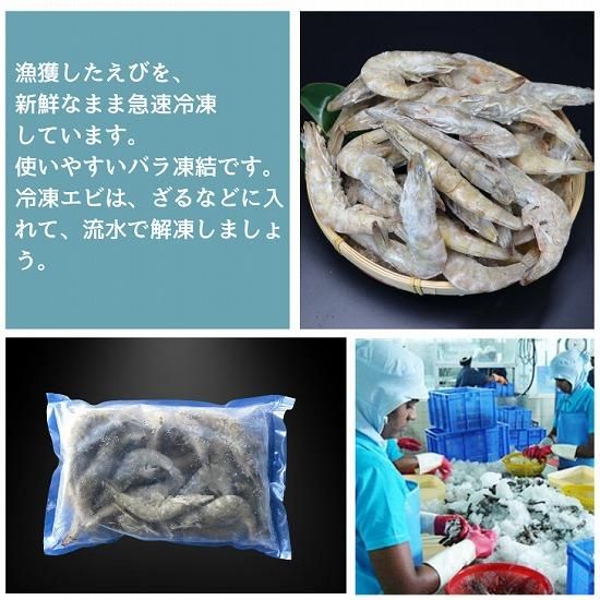 奇跡の海老” 海水養殖活〆海老 有頭 20/30 1kg IQF (311