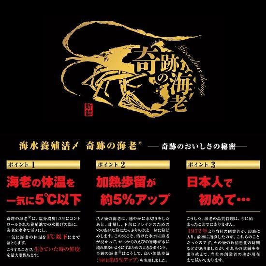 奇跡の海老” 海水養殖活〆海老 有頭 20/30 1kg IQF (311) - シーフード