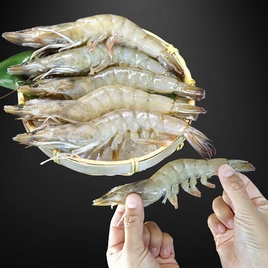 奇跡の海老” 海水養殖活〆海老 有頭 20/30 1kg IQF (311