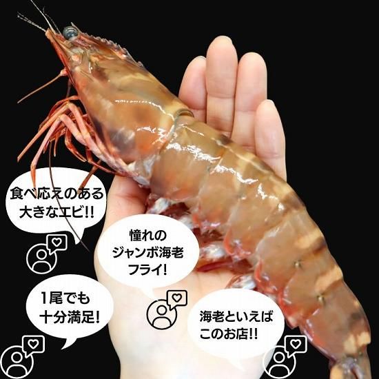天然】超超特大！有頭シータイガー10尾 バングラデッシュ 約27cm