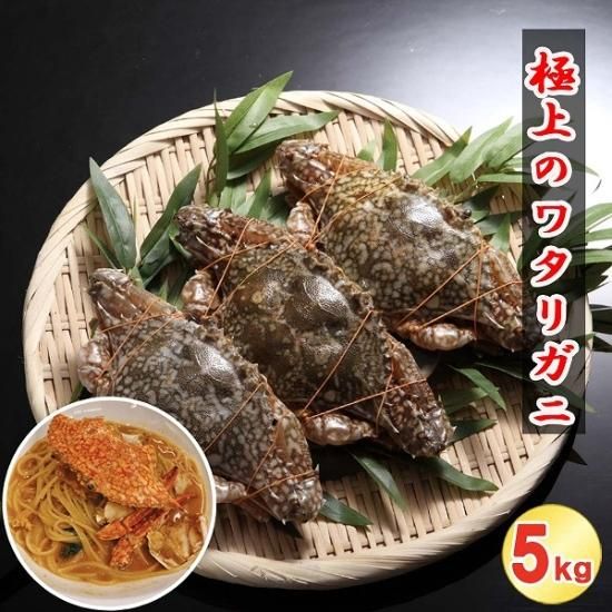 󥫻˾Υ勵ꥬˡ100-150g᥹40/5kg  (1629) 